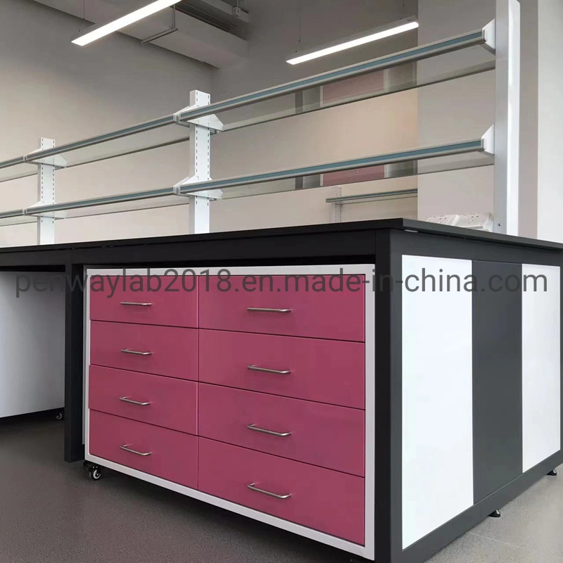 Full Painted Steel Movable Lab Bench Cabinet Mobile Laboratory