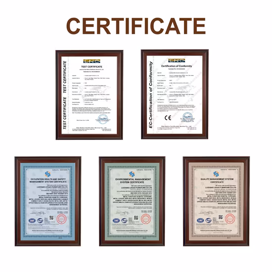 2개의 서랍이 있는 넓은 금속 서류 캐비넷, 접이식, 측면 잠금 가능