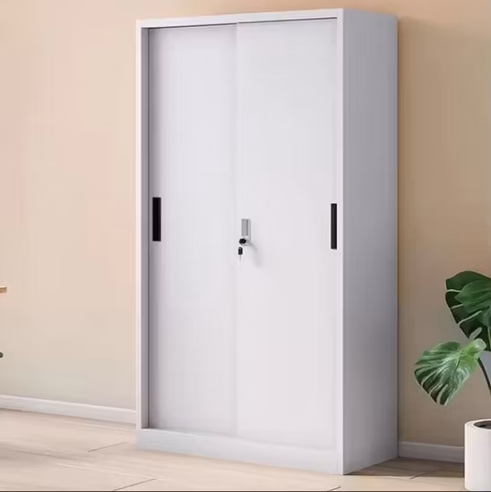 현대 사무용 가구 2 문 금속 저장 내각 Almirah 강철 서류 캐비넷