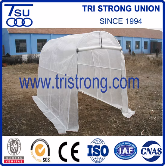 정원 도구 보관/온실/온실/정원 창고 보관(TSU-162G)