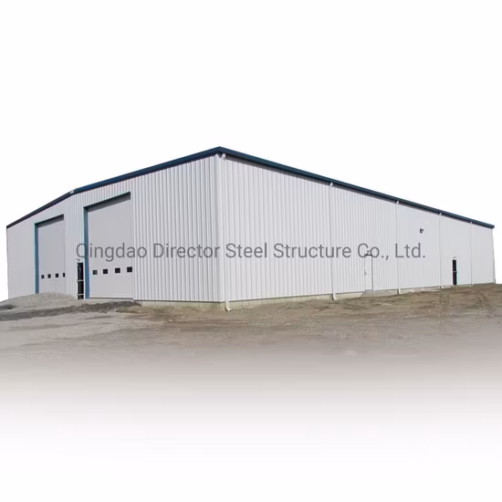 중국에서 좋은 품질의 스테인레스 스틸 구조 도구 보관 창고