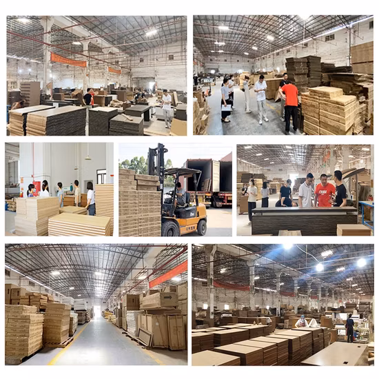  유리문이 달린 새로운 디자이너 목재 파일 캐비닛입니다.  유리문이 달린 나무 책장.  사이드 캐비닛